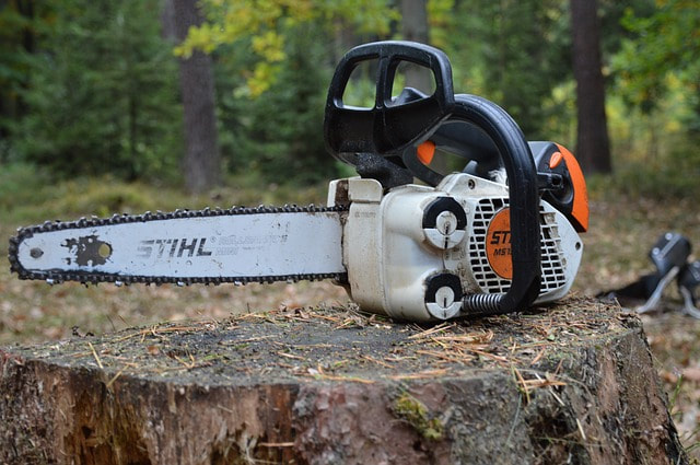 A stihl chainsaw on top of a freshly cut stump