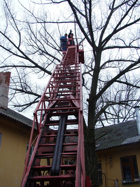 A large red ladder being used to execute emergency tree removal