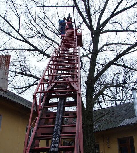 A red ladder lifting tree care workers above a house